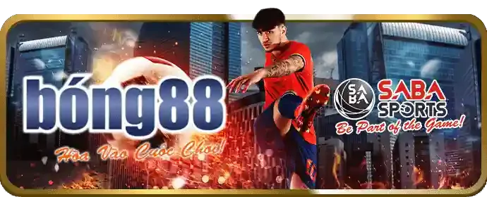 Chính sách cookie của sx88 win
